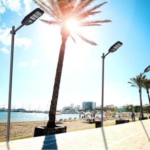 Precio bajo IP68 Impermeable 100W 300W LED Farola Panel solar negro para jardín AC Fabricado Lámpara LED para exteriores Fabricantes - Product Image 5