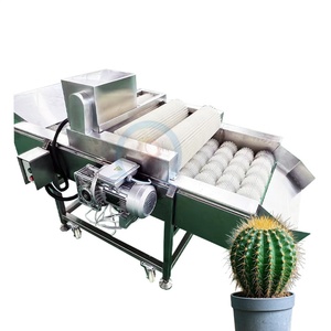 Máquina para Quitar Espinas de Cactus, Máquina para Desespinar Peras Espinosas y Higos, Gran Venta - Product Image 2