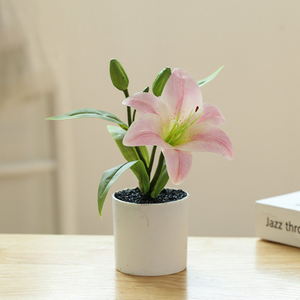 Pot de fleurs en plastique blanc de haute qualité, petit pot, fleur artificielle en soie, lys <span class=keywords><strong>cala</strong></span> oriental, fausse plante, fausse fleur pour la remise des diplômes - Product Image 1
