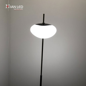 Modern Aluminum <strong>Optical</strong> Acrylic Adjustable Height Waterproof Floor Lamp for Living Room Reading High Brightness Dimmable - Product Image 4
