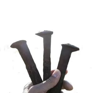 Pointes de rail Durasteel-Fixations de voie à usage intensif Pointes de chemin de fer en acier à usage intensif pour une fixation sûre de la voie et des traverses - Product Image 1