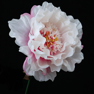 Peonia all'ingrosso fiore artificiale peonia di grandi dimensioni realistico bianco bianco <span class=keywords><strong>blu</strong></span> rosa <span class=keywords><strong>peonie</strong></span> finte - Product Image 1