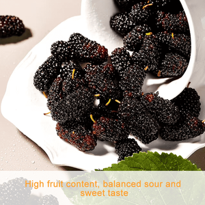 Лидер продаж: Фруктовая начинка из шелковицы Jixianciyuan с высоким содержанием фруктов, сладко-кислая, сбалансированная, чистая, гигиеничная, в коробке 5 кг, срок хранения 12 месяцев - Product Image 5