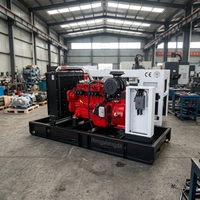 250kW 312kVA Cummins Erdgas-Stromaggregat LPG Biogas KWK Kraft-Wärme-Kopplung Leise Kraftwerksanlage 50/60Hz 3-Phasen Emissionsarm CE ISO