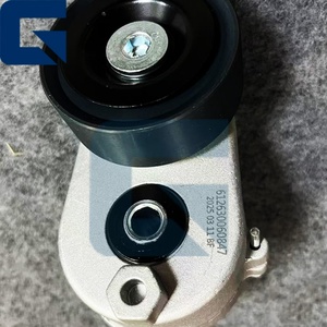 Tensor de Polea D12 VG1246060005 para Camión - Product Image 4