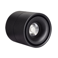Spot lumineux LED de Surface pour le plafond, 360, montage en Surface réglable, éclairage COB, 10W, 20W, 30W, 40W