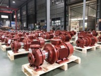 Ventes directes du fabricant Unités de pompe centrifuge à couplage fermé série PAC DIN24255/ESBN 733 STD pour l'arrosage