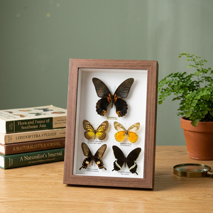 Manufacturer Direct Solid Wood Handmade Rectangular Photo <b>Frame</b> Creative Display Stand Wall Hanging 7inch 8inch 10inch <b>A4</b> Modern - Product Image 3