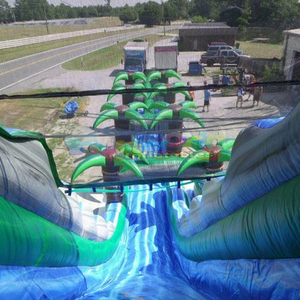 27ft thương mại lớp nhiệt đới bên vui vẻ trượt nước trẻ em người lớn trả lại nhà ngoài trời Inflatable trượt nước cho hồ bơi - Product Image 2