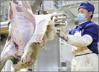 Mouton De haute Qualité Machine à Peau Chèvre Équipement D'abattage