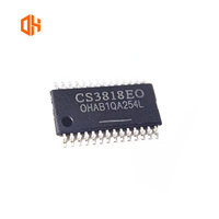 Circuit intégré électronique CS3817EO CS3818EO HTSSOP-28, puce d'amplificateur de puissance audio de classe D, CS3818