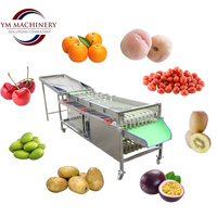 Fruit sorteermachine voor granaatappels, kersentomaten & groenten - sorteerlijn voor fruitverwerkingsbedrijven