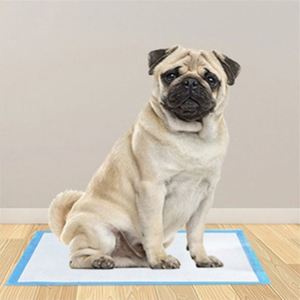Emballage personnalisé, coussinets absorbants jetables en charbon de bambou pour animaux de compagnie, 33*45, pour petits animaux - Product Image 2