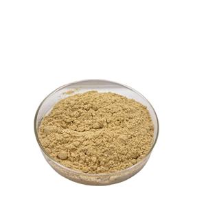 Extracto de planta de polvo de extracto de Polygonatum Odoratum de venta entera Natural pura 10:1 extracto de Polygonatum Odoratum - Product Image 2