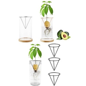 Nuevo Recipiente Transparente para Cultivo <span class=keywords><strong>de</strong></span> Semillas <span class=keywords><strong>de</strong></span> Aguacate, Soporte Triangular Metálico para Cultivo Hidropónico - Product Image 3