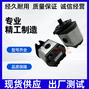 Pompe à engrenages hydraulique Fengchang EG-PBD 1 Stage Sac Installation Pompe à huile haute pression - Product Image 3