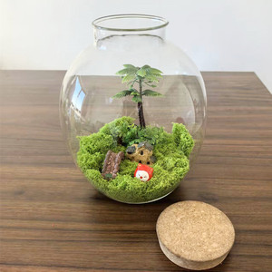 Vaso Contenitore Trasparente in Vetro <span class=keywords><strong>per</strong></span> Terrario con Coperchio in Sughero e Luce LED <span class=keywords><strong>per</strong></span> Piante Verdi e Acquario - Product Image 5