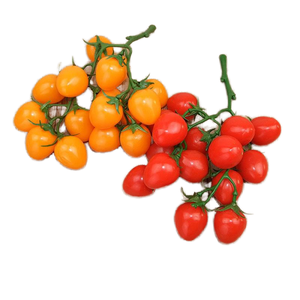 H503 MSH Modèles de légumes artificiels en gros, tomates cerises, modèles alimentaires, décoration intérieure, Halloween, Thanksgiving, décoration d'armoire - Product Image 1