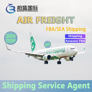 中国到印度的货运代理巴林日本菲律宾欧洲FBA DDP空运海运门到门拼箱 - Product Image 2