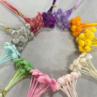 Fleurs de boutons teintées et préservées, violettes et colorées, fleurs de boutons séchées pour la décoration de bouquets de mariage