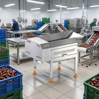 Automatische dadelontpitmachine, dadelpasta-machine, rode dadel/jujube verwerkingslijn voor palmdadels, fruit- en voedingsmiddelenapparatuur