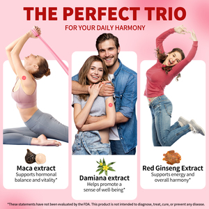 Solotree 30 đếm hỗ trợ lành mạnh Libido transdermal các bản vá lỗi nhãn hiệu riêng hormone cân bằng hỗ trợ tình yêu các bản vá lỗi cho nam giới và phụ nữ - Product Image 3