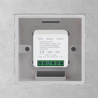 XZJ Prix d'Usine Vente Directe Produits Maison Intelligente Module Mini Interrupteur Intelligent Tuya WiFi 1 Voie 16A pour DIY Éclairage Vie Connectée