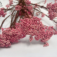 Fleurs de millet séchées et préservées, petites décorations florales naturelles pour la décoration de mariage