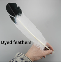 Plumes d'aigle pour décoration de vases, accessoires de carnaval, 20-30 cm, plumes de dinde naturelles pour travaux d'aiguille et artisanat