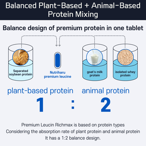 Complément alimentaire de leucine de haute qualité RichMax, nutrition essentielle en protéines de L-leucine pour les hommes seniors, soutien de la masse musculaire et de l'endurance - Product Image 5