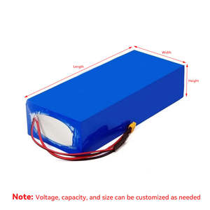 E-Bike E-Scooter Lithium LiFePO4 Akku 12V/24V/36V/48V/60V 20AH/30AH/50AH/60AH 5000 Zyklen für Direktvertrieb ab Werk - Product Image 3