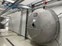 Vacüüm-vriesdroger op maat, lyofilisator, aardbeien-vriesdroogapparatuur voor fruitvriesdroogverwerkingslijn