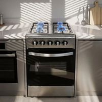 Cuisinière à gaz sur pied à quatre brûleurs la plus vendue, 4 brûleurs avec four de grande capacité