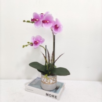 Bunga Sutra Sentuh Asli Pot Set Tanaman Anggrek Sentuhan Asli Terbaru Disesuaikan Anggrek Phalaenopsis untuk Dekorasi Rumah