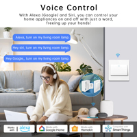 Module d'automatisation domestique intelligent Mini Matter SIXWGH haute compatibilité 16A, WiFi sans fil, prend en charge HomeKit Alexa pour système de maison intelligente
