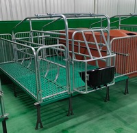 Offre Spéciale : Équipement d'élevage porcin – Cage de mise bas pour truies, Table d'accouchement obstétrique pour truies pour ferme porcine