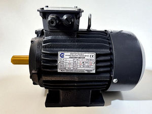 Moteur à induction triphasé 2 CV 4 pôles, monté sur socle, 1440 tr/min, série industrielle robuste haute efficacité - Product Image 2