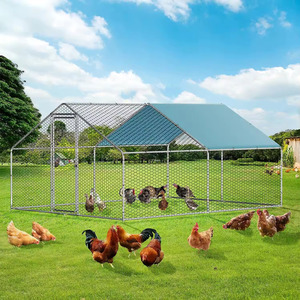 Gallinero de Acero Galvanizado para Pollos de Corral, con Sistema de Pastoreo Rotacional, para Gallinas de Corral Libre - Product Image 2