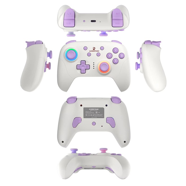 RGB Light Ring RG P01 Controller Wired Gamepad Hall Effect Joystick 2.4G Wireless BT Game Controller for PC Android IOS