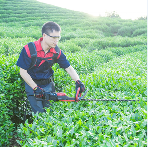 Taille-haie professionnel à haute intensité et faible émission de batterie au lithium Taille-haie longue durée de bonne qualité - Product Image 4