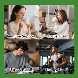 Best Selling Natural Herbal <b>Supplements</b> with Coconut Milk Mushroom <b>Supplement</b> Mushroom Coffee Powder Energize <b>Your</b> Day Dietary - Product Image 5