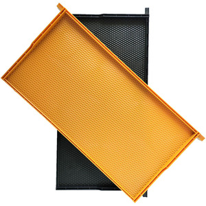 Marco de plástico para abejas con lámina de base para abejas - Product Image 6