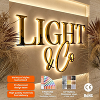 Enseigne Murale LED Lumineuse à Alimentation CC avec Lettres Canal Lumineuses Rétroéclairées pour Publicité et Décoration Commerciale