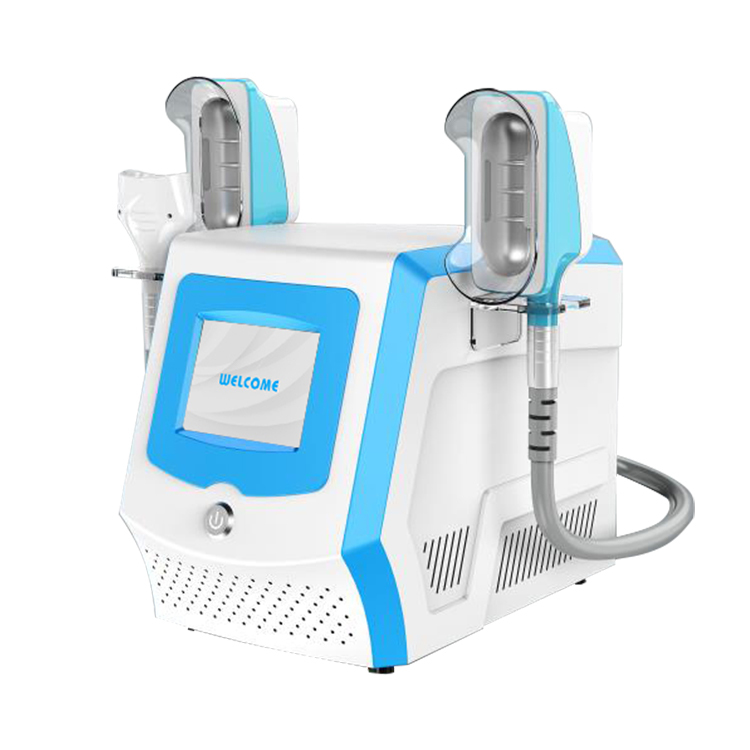 2in1 Ems Cryolipolyse Slimming Machine Fat