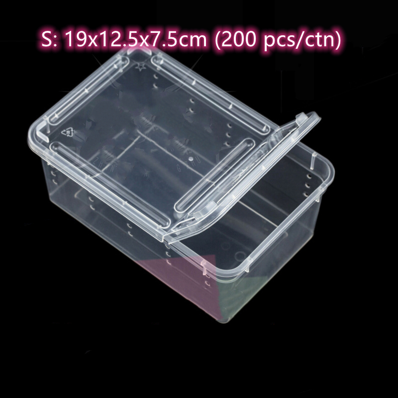 Transparent/Noir-S