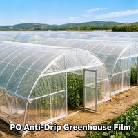 Film plastique pour serre agricole, stabilisé aux UV, diffuseur de lumière, pour la culture de légumes