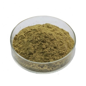 Flores masculinas de eucommia ulmoides, polvo para el cuidado de la salud, gran oferta - Product Image 1