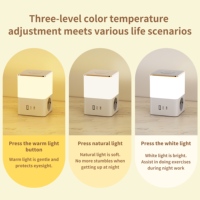 Prise de lumière nocturne standard européenne Trois couleurs de lumière Interrupteur tactile 17W avec USB et 2 Type-C Convient à divers scénarios