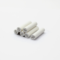 Embouts filtrants jetables en céramique rainurée de 6 mm avec charbon actif de coque de noix de coco, modernes et écologiques pour cartouche filtrante