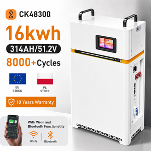 Pack de batteries au lithium 100 Ah, pack de batteries Li-ion, pack de batteries solaires, pack de batteries solaires 48 V, système d'énergie solaire hybride, Pologne - Product Image 2